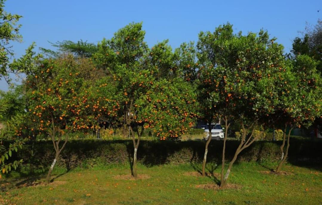 Haritma Resort Gurgaon Buitenkant foto